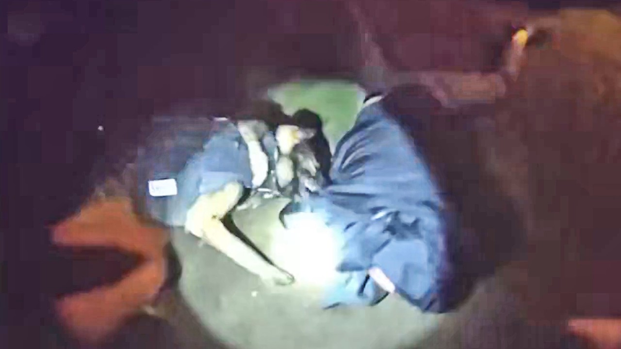 Thumbnail for K9 Asher Tracks And Bites Fleeing Suspect After Pursuit