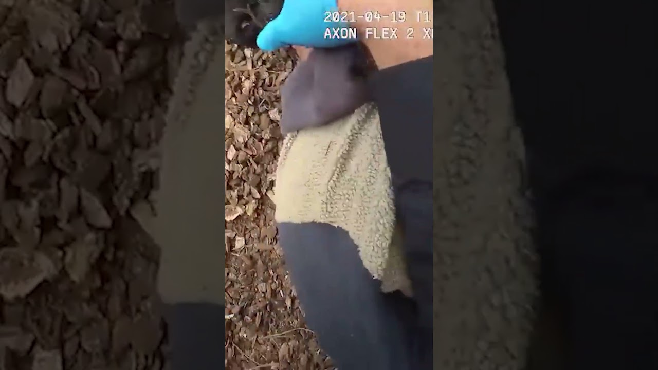 Thumbnail for Drunk Suspect Stops Breathing After Cops Take Him Down