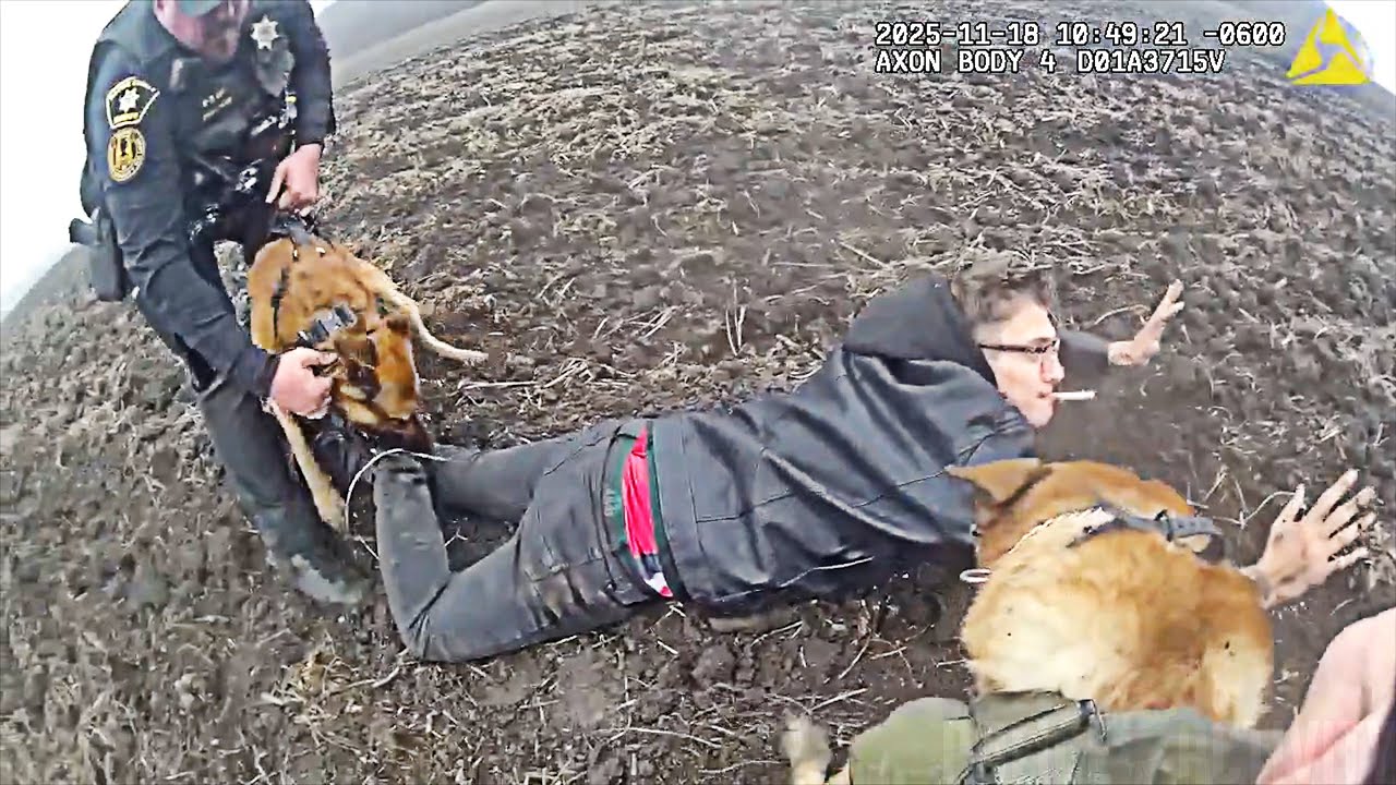 Thumbnail for K9 Duo Brings Down Kenosha Shooting Suspect in a Muddy Field