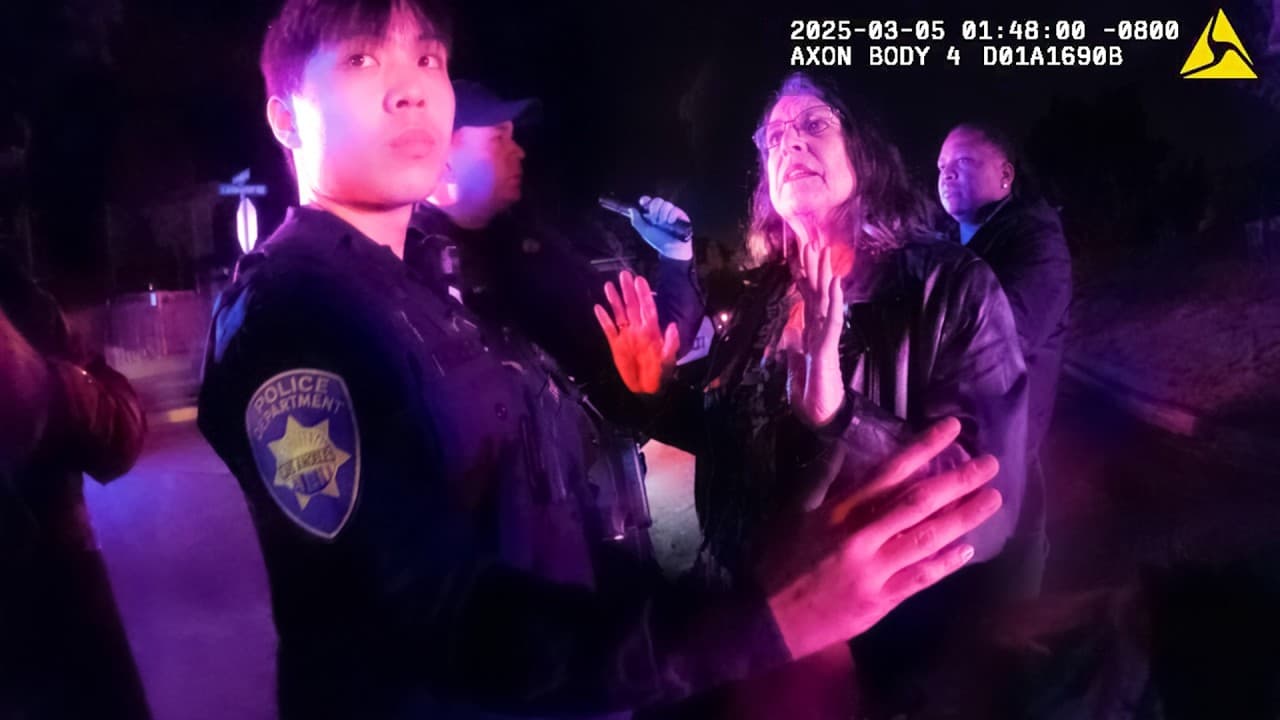 Thumbnail for Woman Calls Her Activist Friends to Traffic Stop