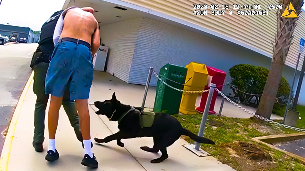 Thumbnail for Suspect Messes With K-9 and Finds Out